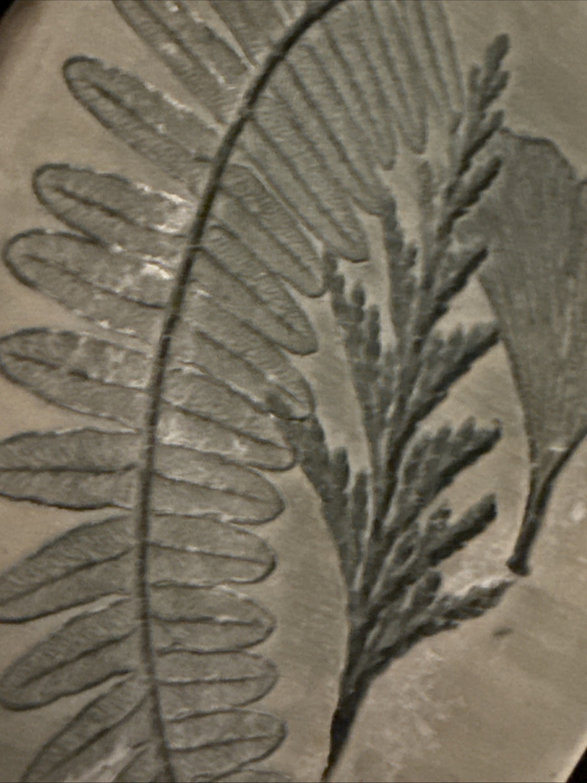 Handmade Pottery Botanical Impression Ginko Fern, Wild Ginger Fern Dish Signed