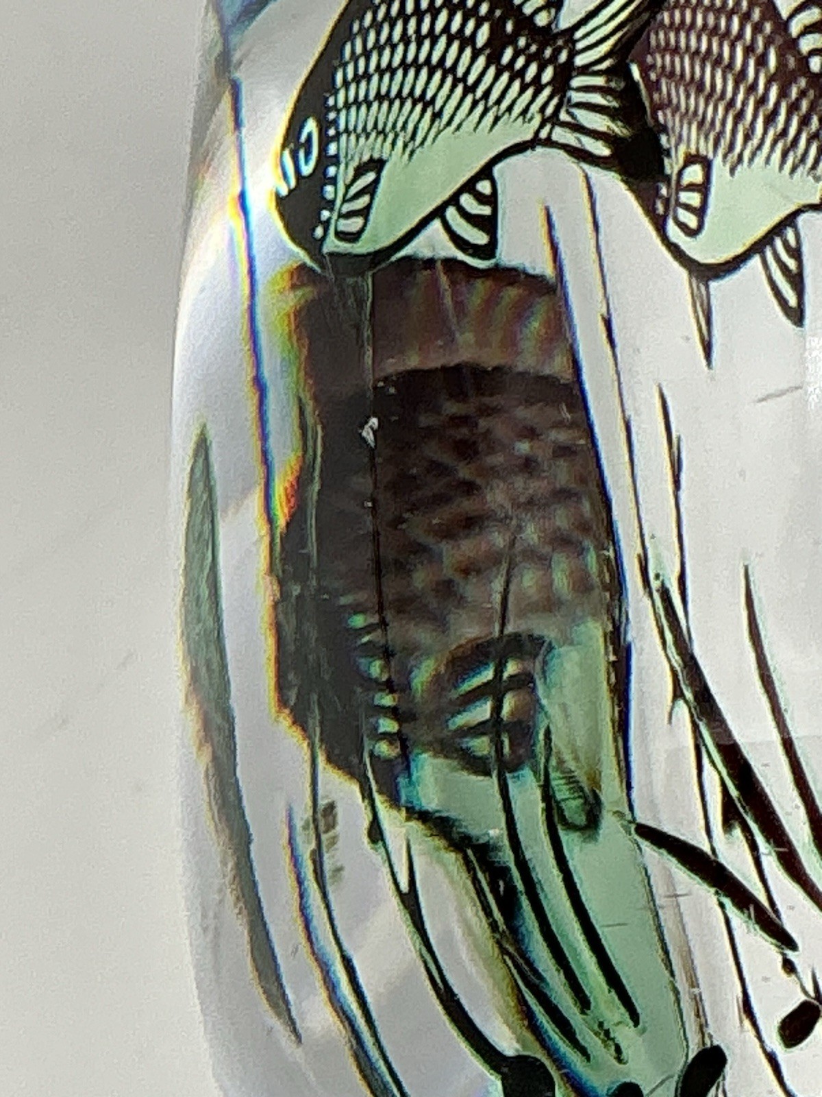 Orrefors Fish Underwater Aquarium Graal Vase Edward Hald Sweden 5.25 Inches