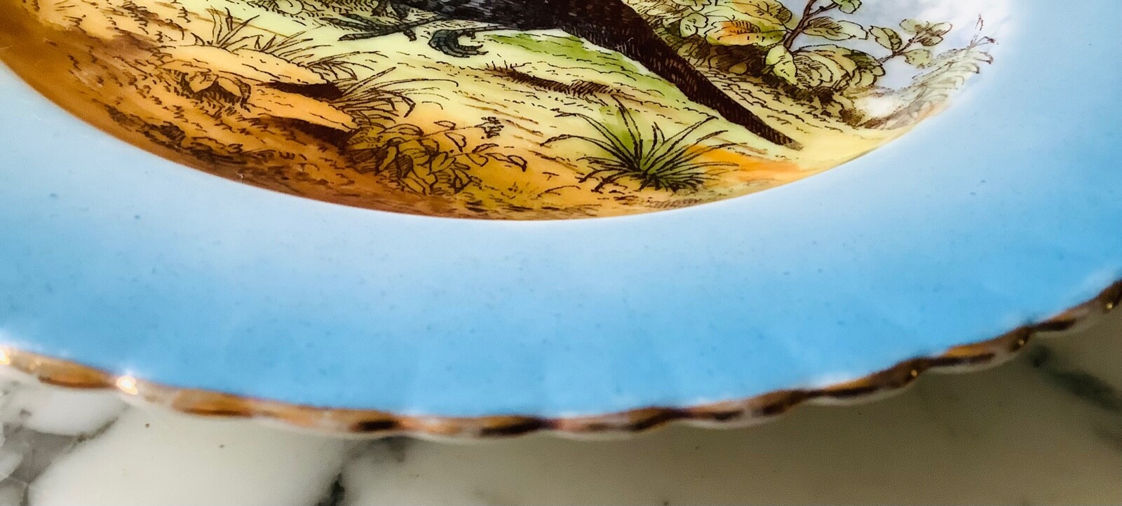 Antique Pheasant Plate, Victoria Porcelain Factory, Karlsbad, Austria Free Ship!