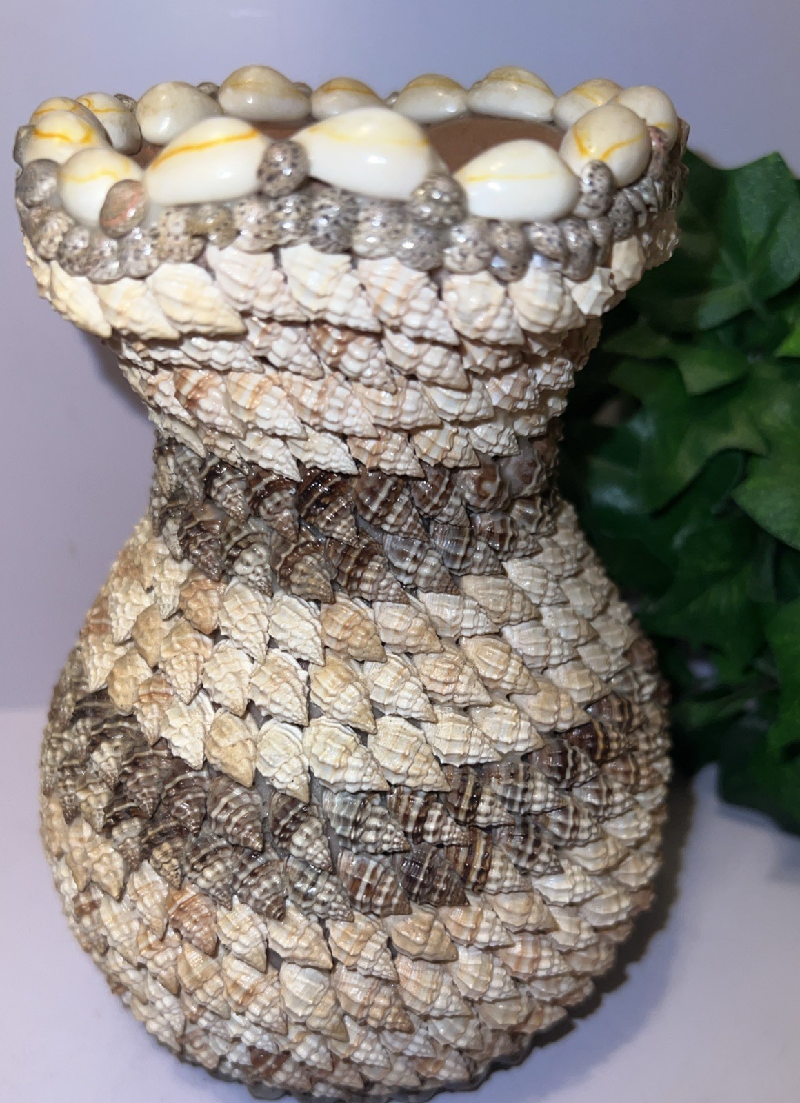 Vintage.Terra Cotta Seashell Bud Vase Handmade 6 1/2 Inches Tall 6 1/2 “ wide