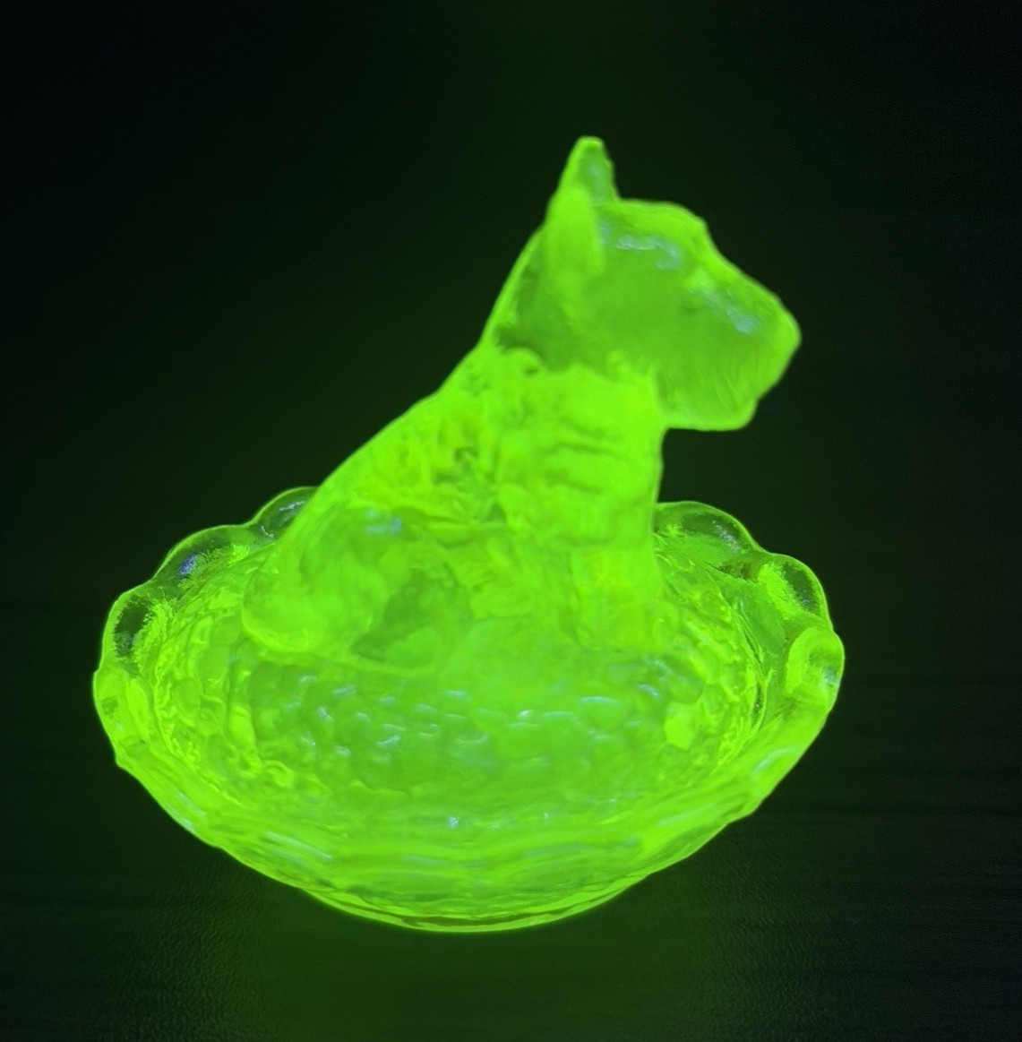 Boyd Scottie Dog on Nest Salt 2.5″ Vaseline Iridescent Uranium Glass UV Glow HTF
