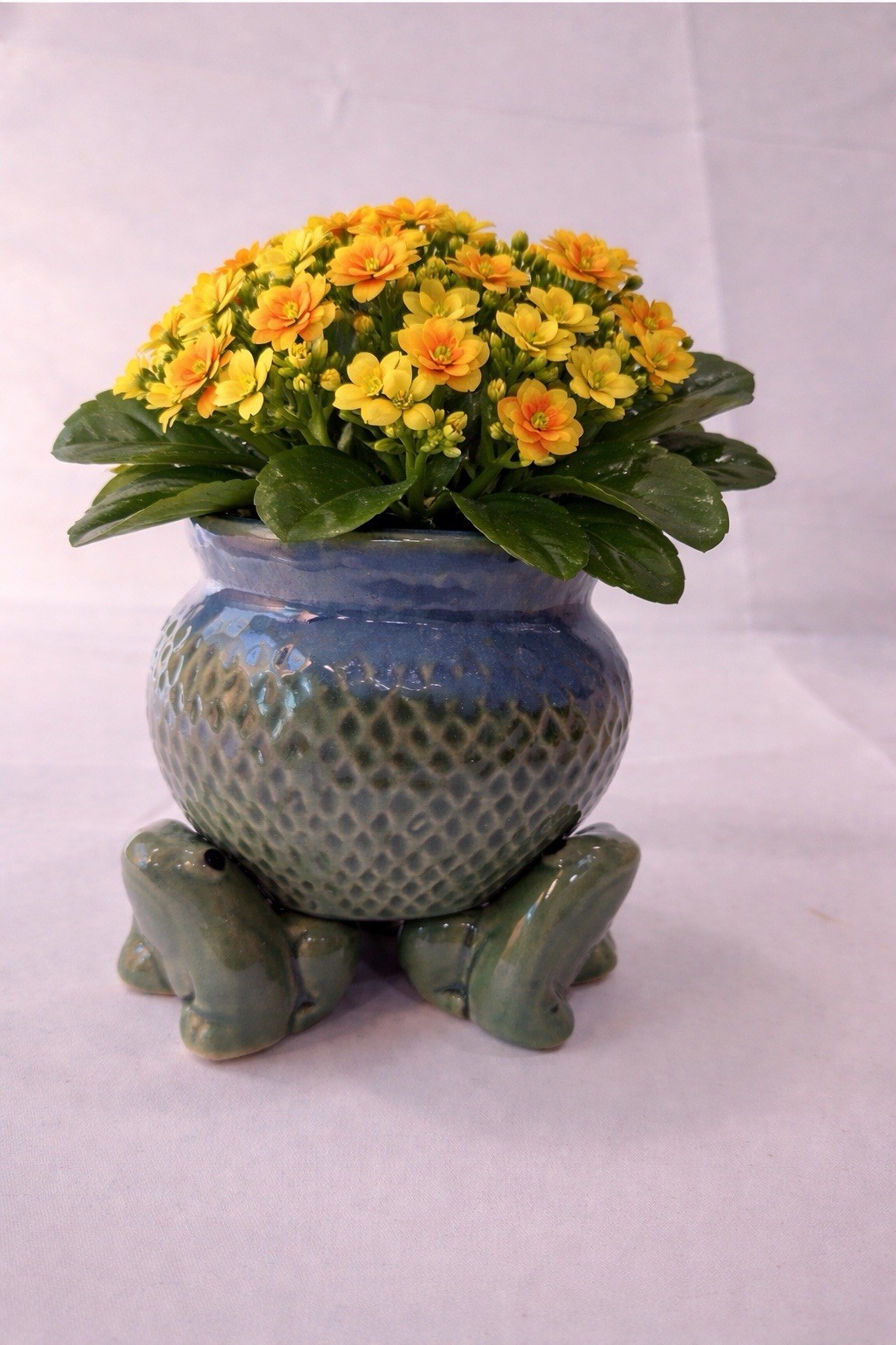 Majolica Style Small Three Green Frogs Ceramic Planter 6 Pcs Blue And Green