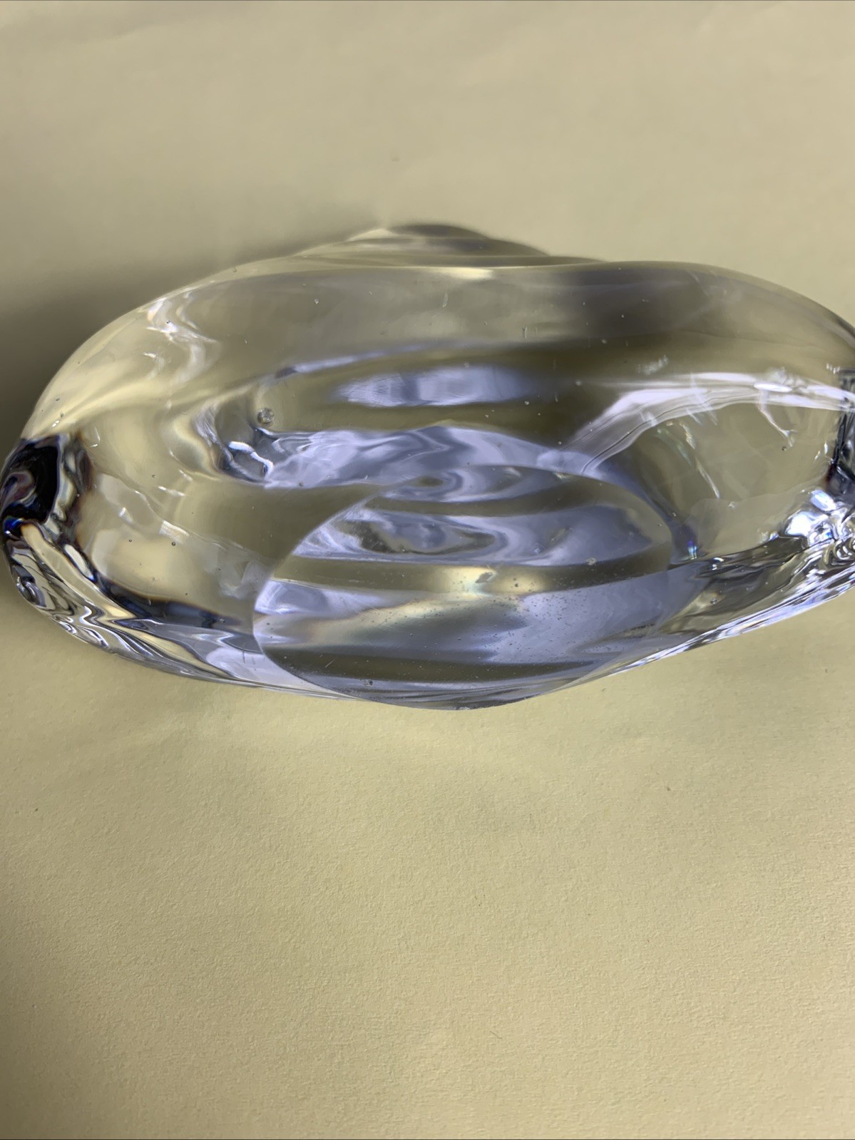 seashell paperweight clear glass 3 1/2 Wide 3 Inches Tall