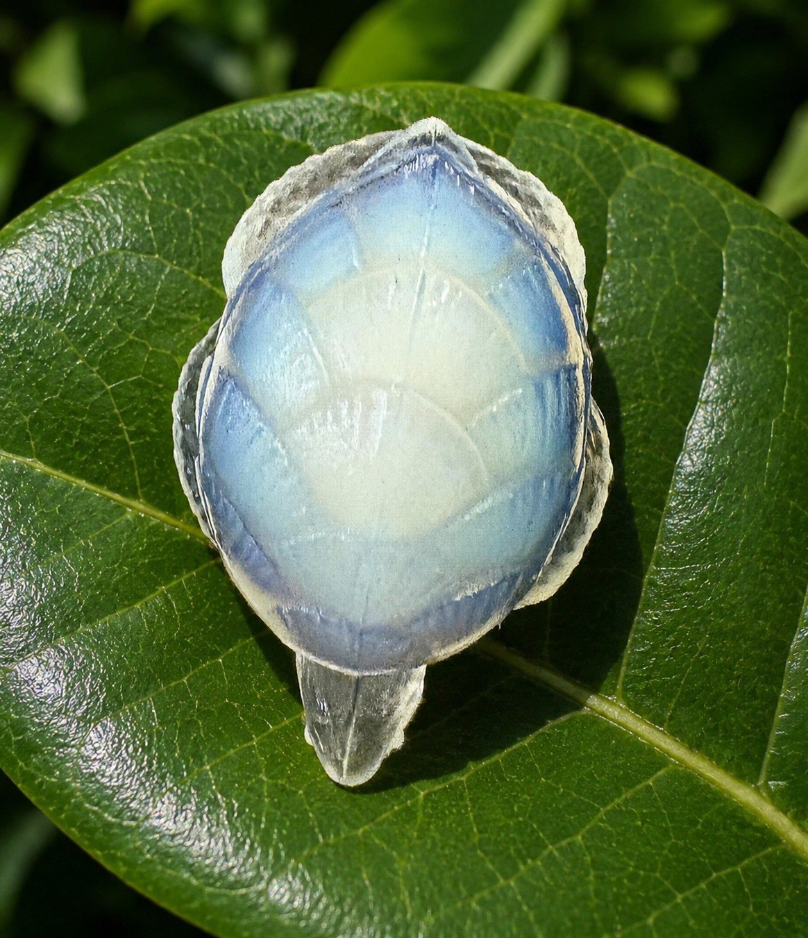 Rare Vintage Sabino France Opalescent Art Glass “Tortue” (Sea Turtle) Figurine