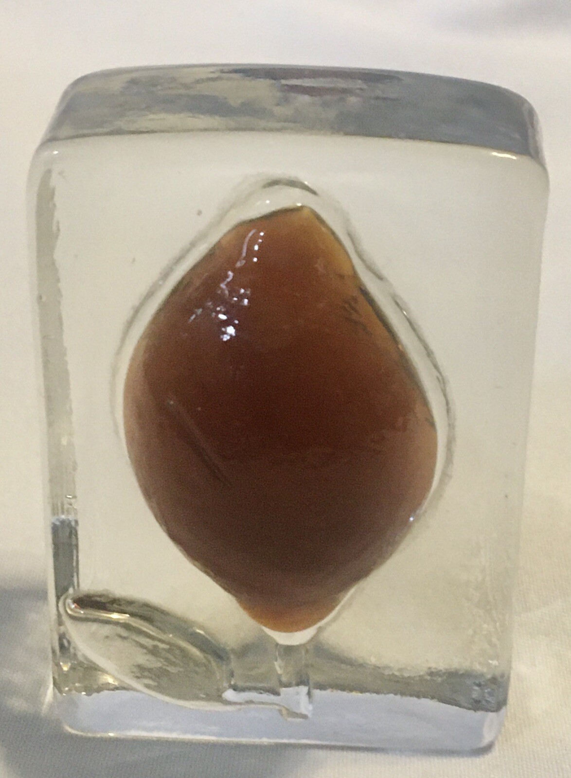 VTG Clear W/Amber Flower In Relief Glass Paperweight – 3.25” X 2.25” X 2” Thick
