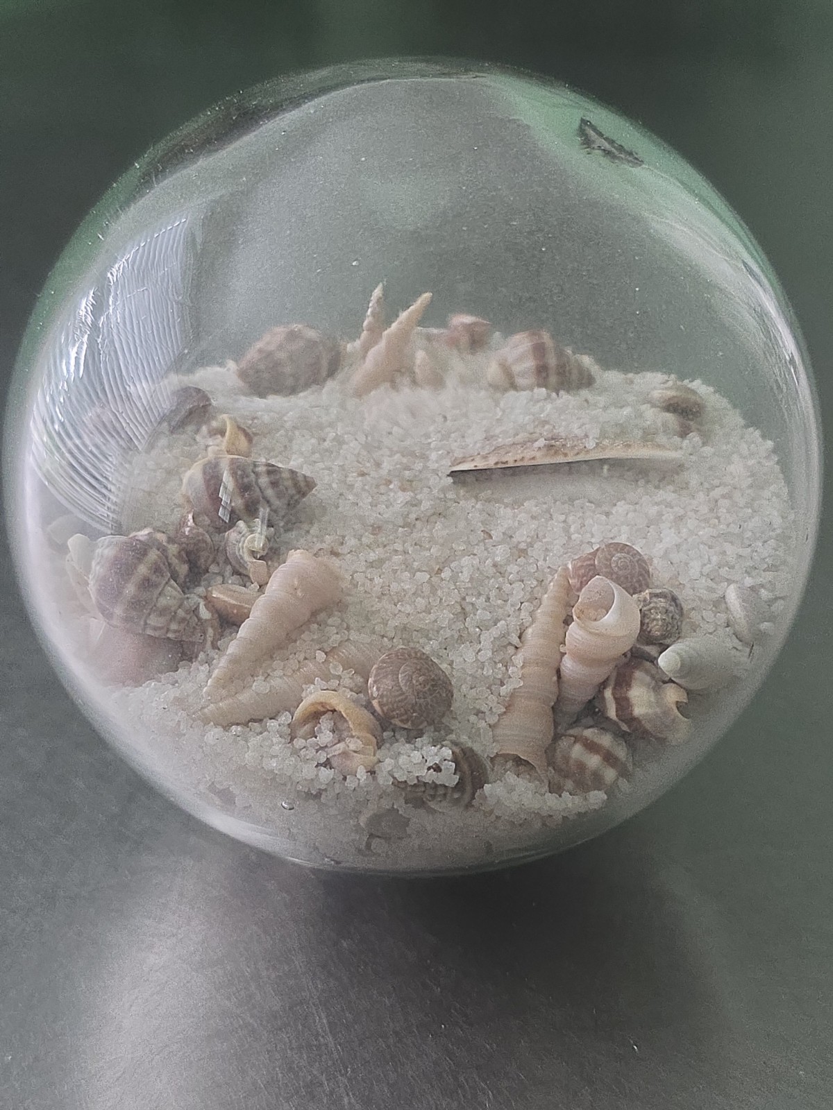 VTG Pier One Imports Sand And Shell Glass Globe Paperweight 4” / Decoration EUC