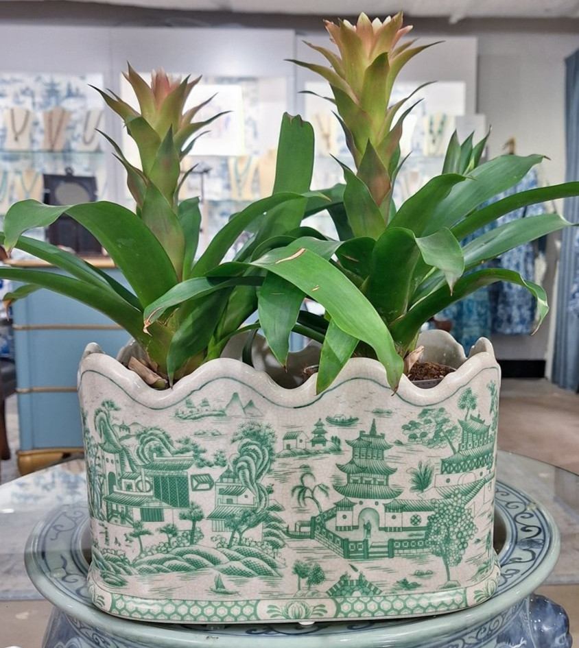 HAND PAINTED GREEN WILLOW OVAL PORCELAIN PLANTER WITH SCALLOP TOP- 12” X 7”H