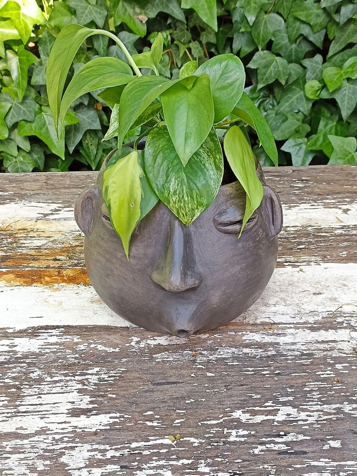 Whistler Face Planter is Handmade Mexican Pottery from Atzompa, Mexico