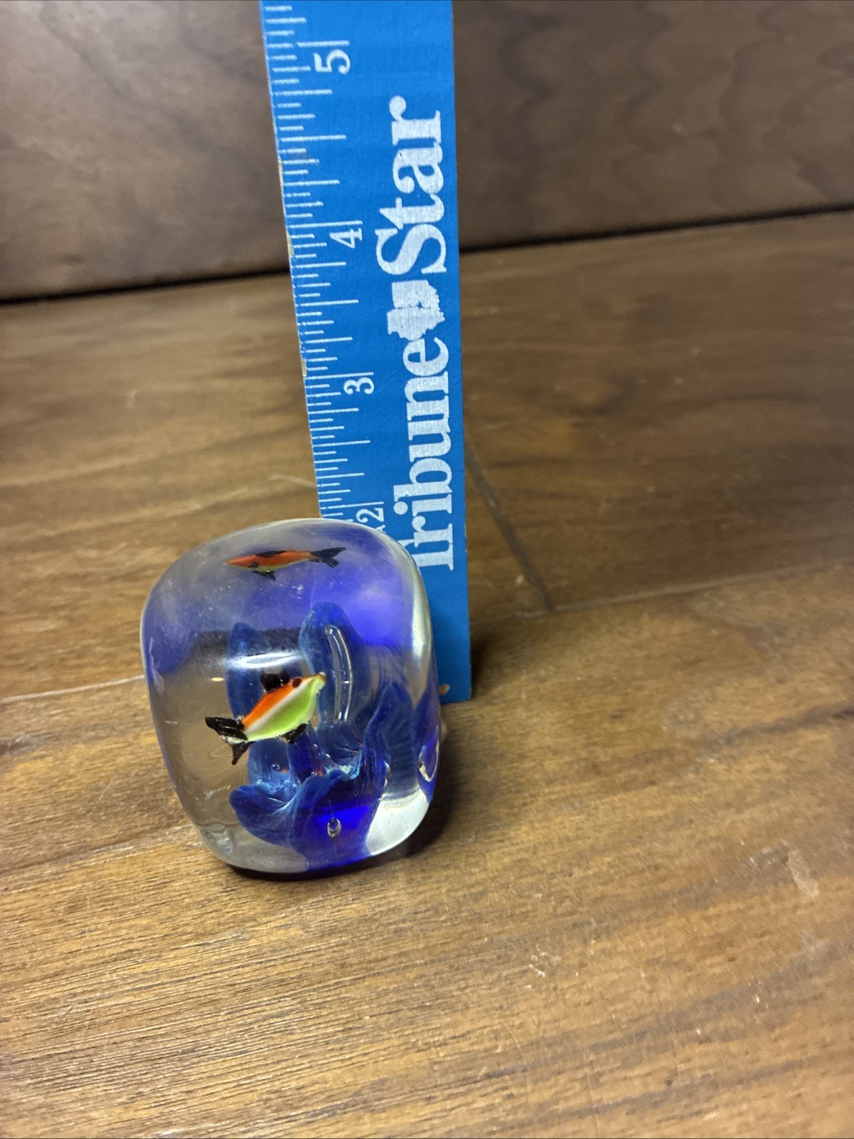 Art Glass 2″ Paperweight Fish Aquarium Scene Seascape Goldfish Blue Orange Ocean