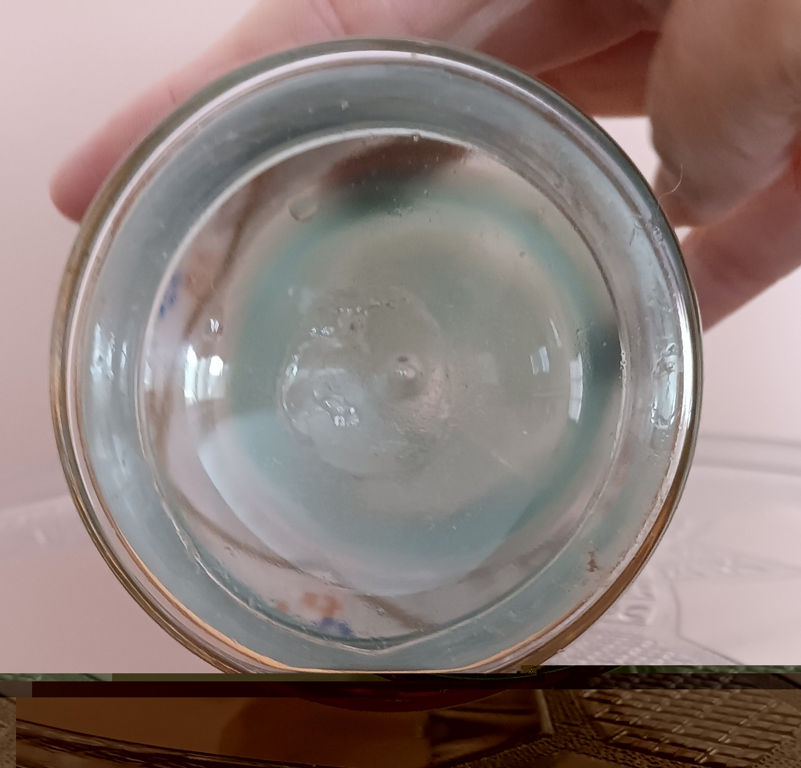 Antique Teal Blue Green OPALINE Victorian SATIN GLASS Hand Painted Vase