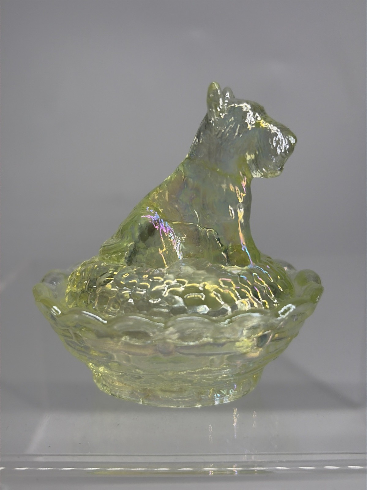 Boyd Scottie Dog on Nest Salt 2.5″ Vaseline Iridescent Uranium Glass UV Glow HTF