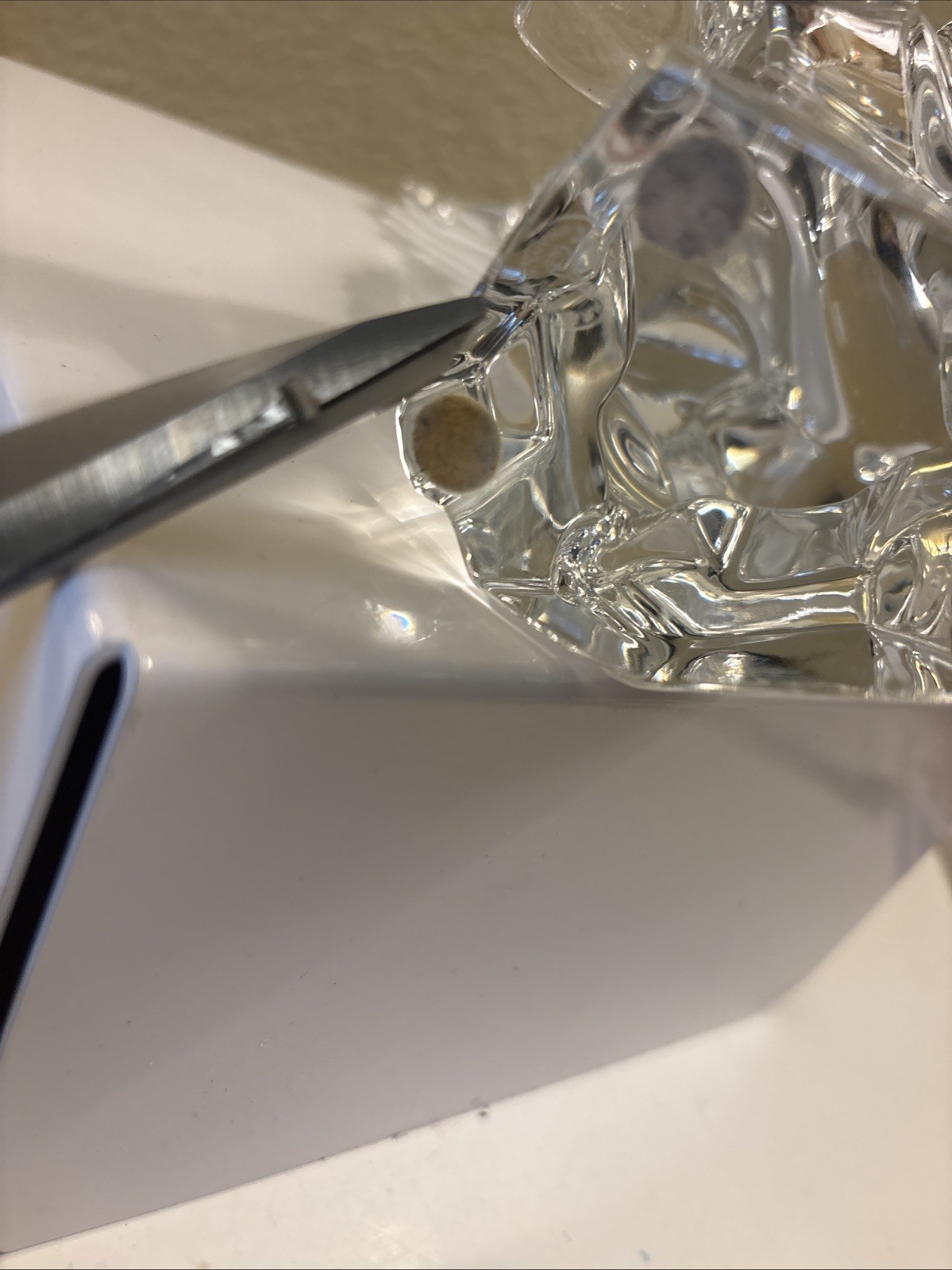 Baccarat Crystal American Eagle Chipped Wing tip Damage 7” X9.1/4” In Flight