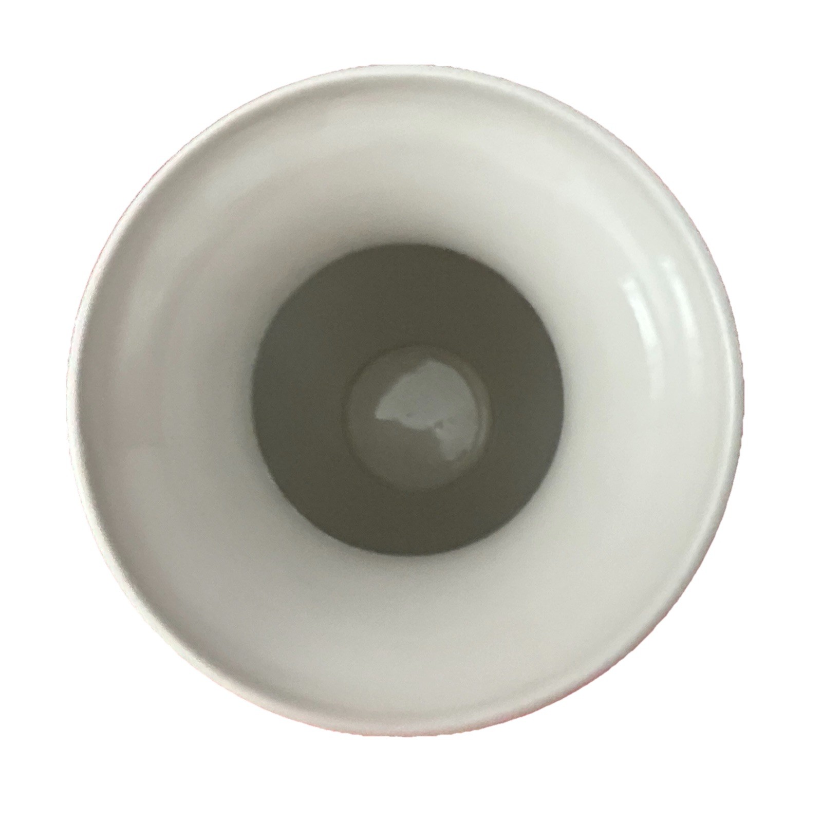 Botanic Garden 10” Cantan Vase Christmas Rose By Portmeirion