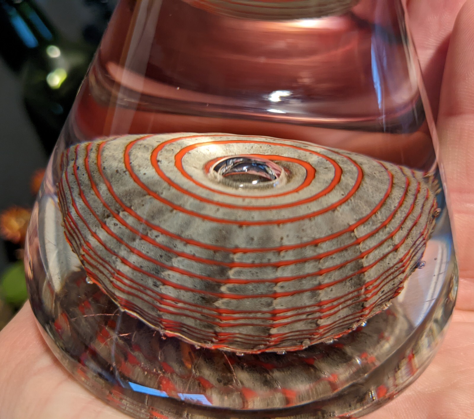 Kosta Boda Crystal Glass Pyramid Paperweight Signed Artist Bertil Vallien 98977