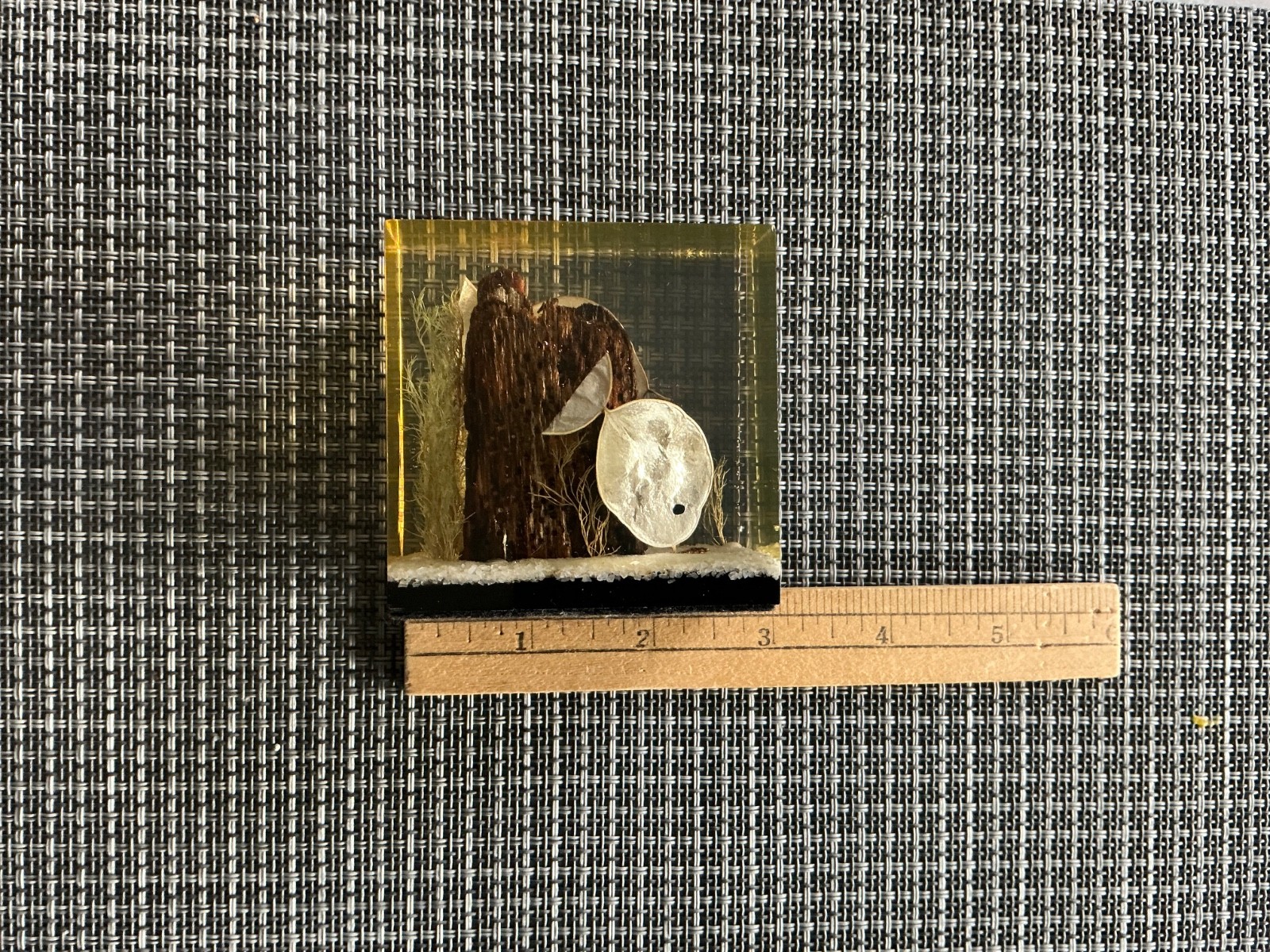 Vintage Lucite Paperweight Made Exclusively For Gump’s San Francisco Ocean Scene