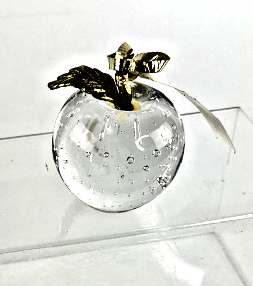 Glass Apple Hand Blown Controlled Bubbles Paperweight Polaroid Education 1986-96