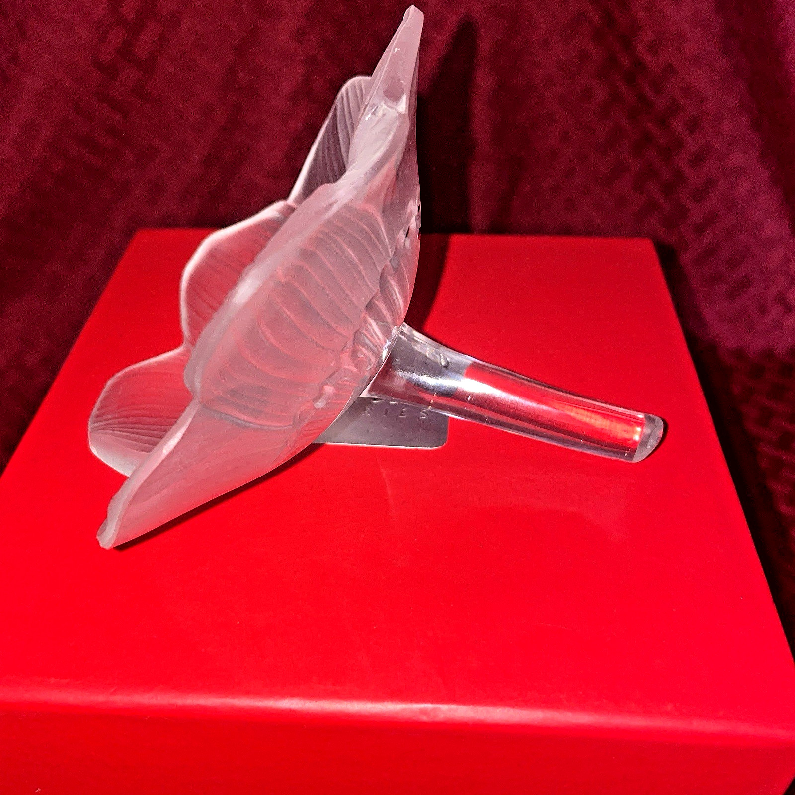 ANTIQUE LALIQUE FROSTED ANEMONE WIITH CLEAR STEM – NIB
