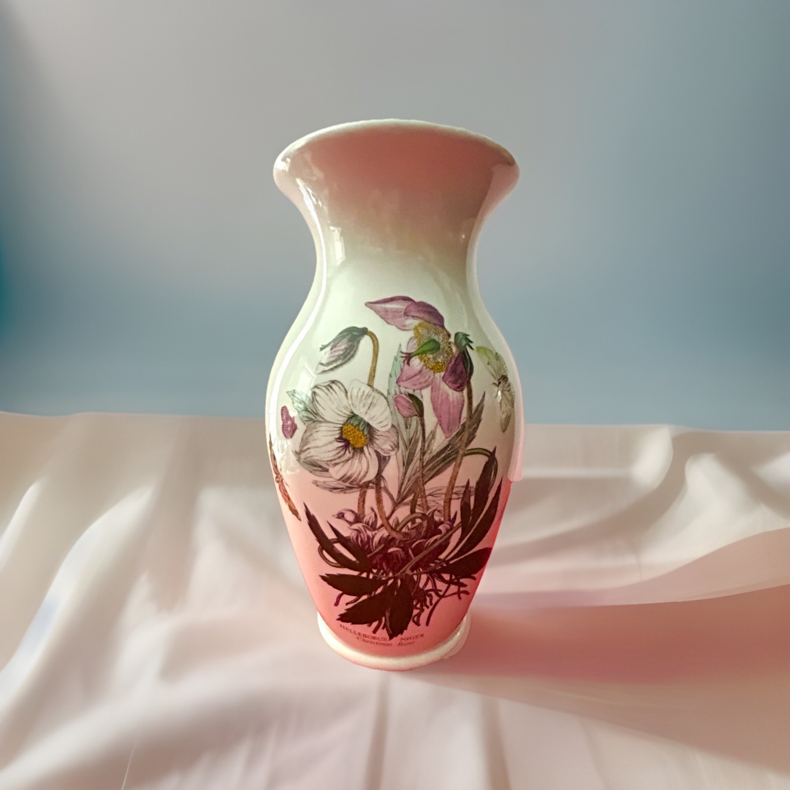Botanic Garden 10” Cantan Vase Christmas Rose By Portmeirion