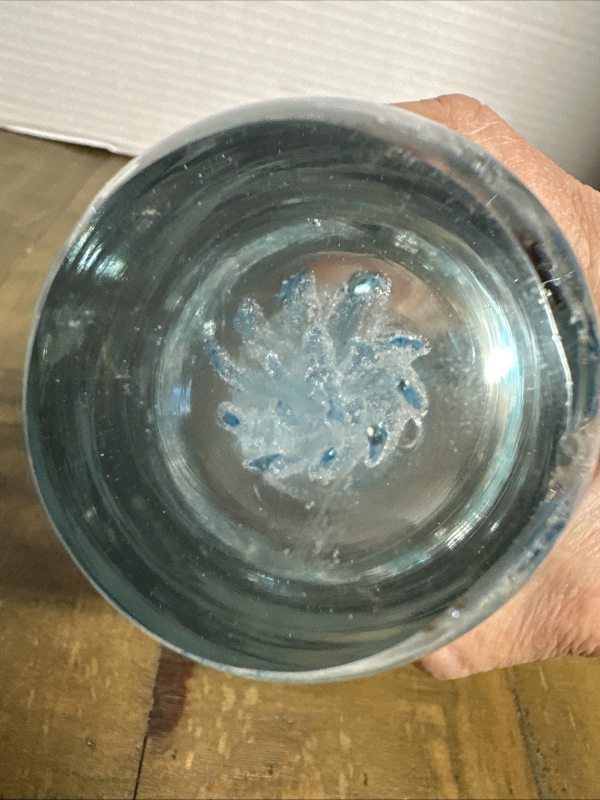 Vintage Art Glass Clear Paperweight Light Blue Jellyfish Bubbles 6” Figurine