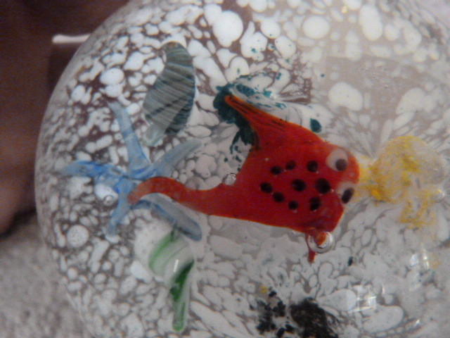 AVITA Handcrafted Crystal Creations Paperweight Nautical MANTA RAY STARFISH 3.3″