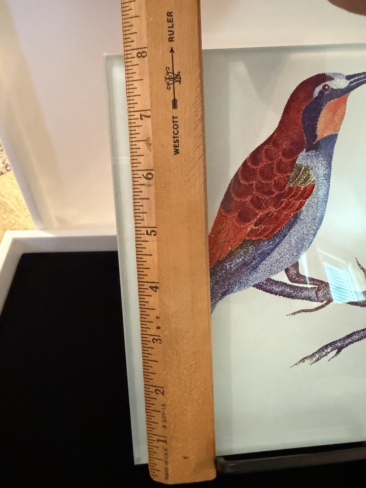 Glass Tile Of Blue-Throated Bee-Eater Bird, Signed Silver, 8”x6” 15oz