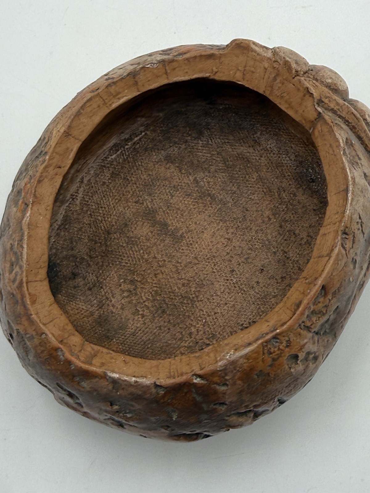 Art Pottery Unique Handmade Boar Tree On Rock Trinket Box Figurine