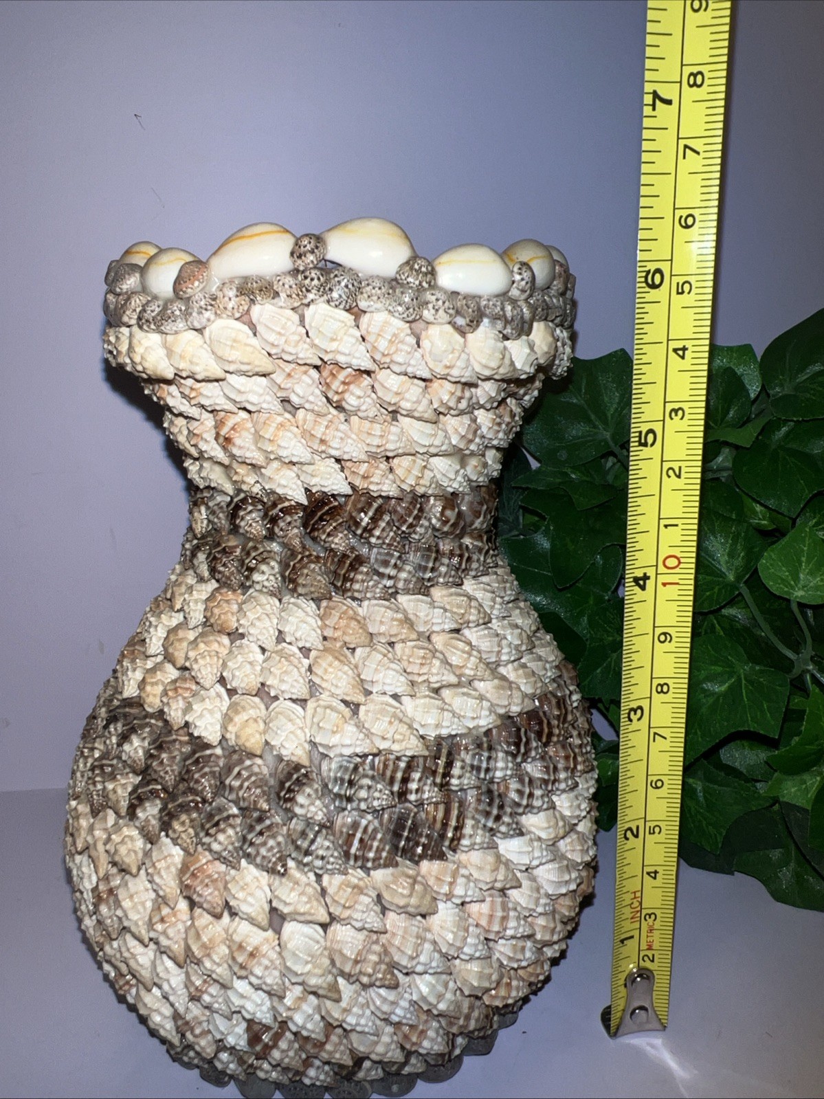 Vintage.Terra Cotta Seashell Bud Vase Handmade 6 1/2 Inches Tall 6 1/2 “ wide
