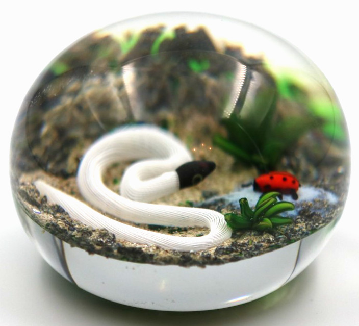 Fascinating DELMO TARSITANO Ribbon Snake Lady bug Beetle Art Glass Paperweight