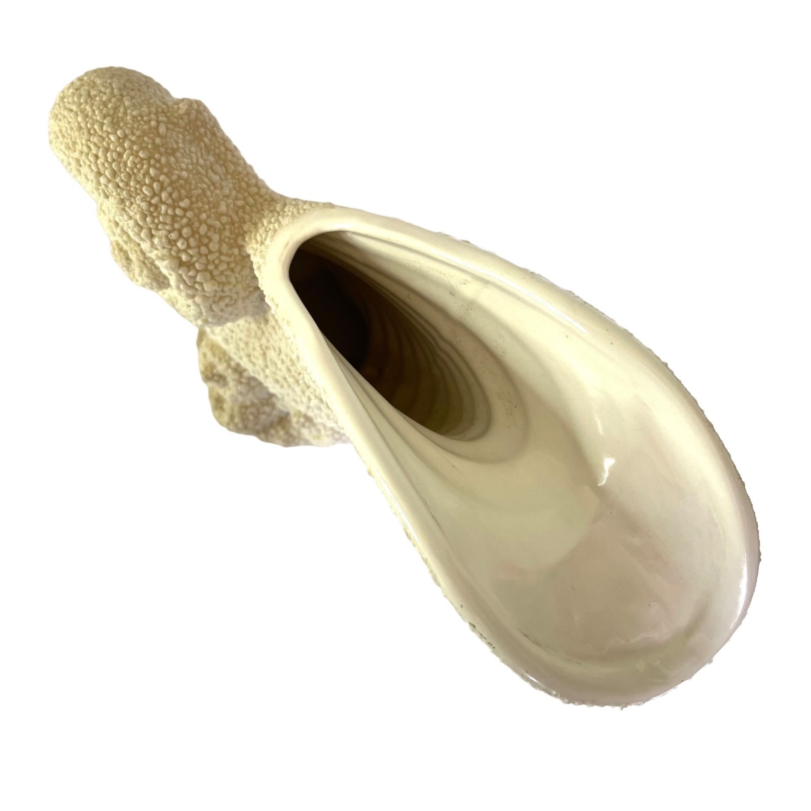 Vintage 1998 Royal Haeger Nautilus Shell Cornucopia Vase Texture Off White 235-4
