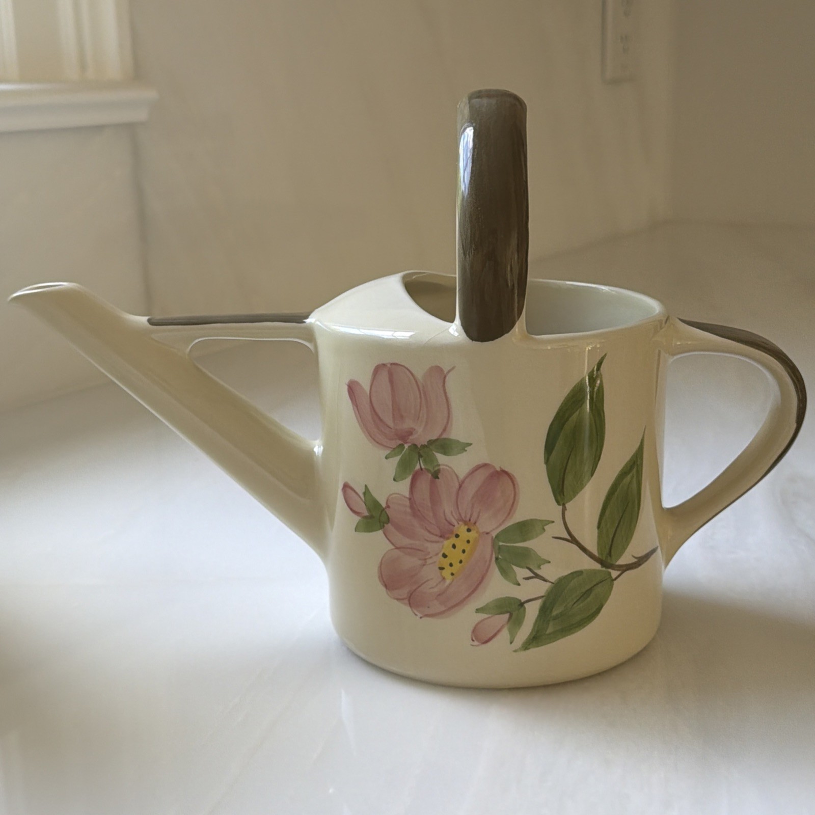Hard to find & Rare Franciscan Desert Rose Watering Can Portugal – crazing