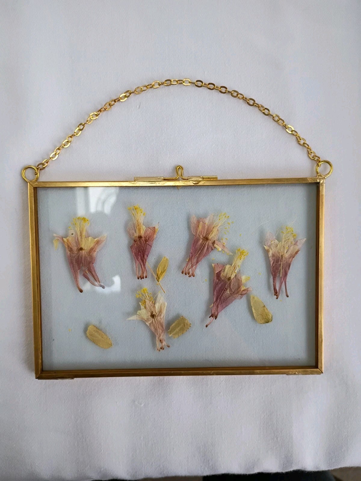 Vtg Hinged Hanging Brass Frame Pressed Flowers