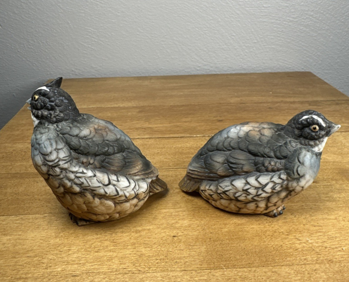 Vintage Ceramic Quail Grouse Set of 2 Made by Horizons (Homco) in Japan, Matte
