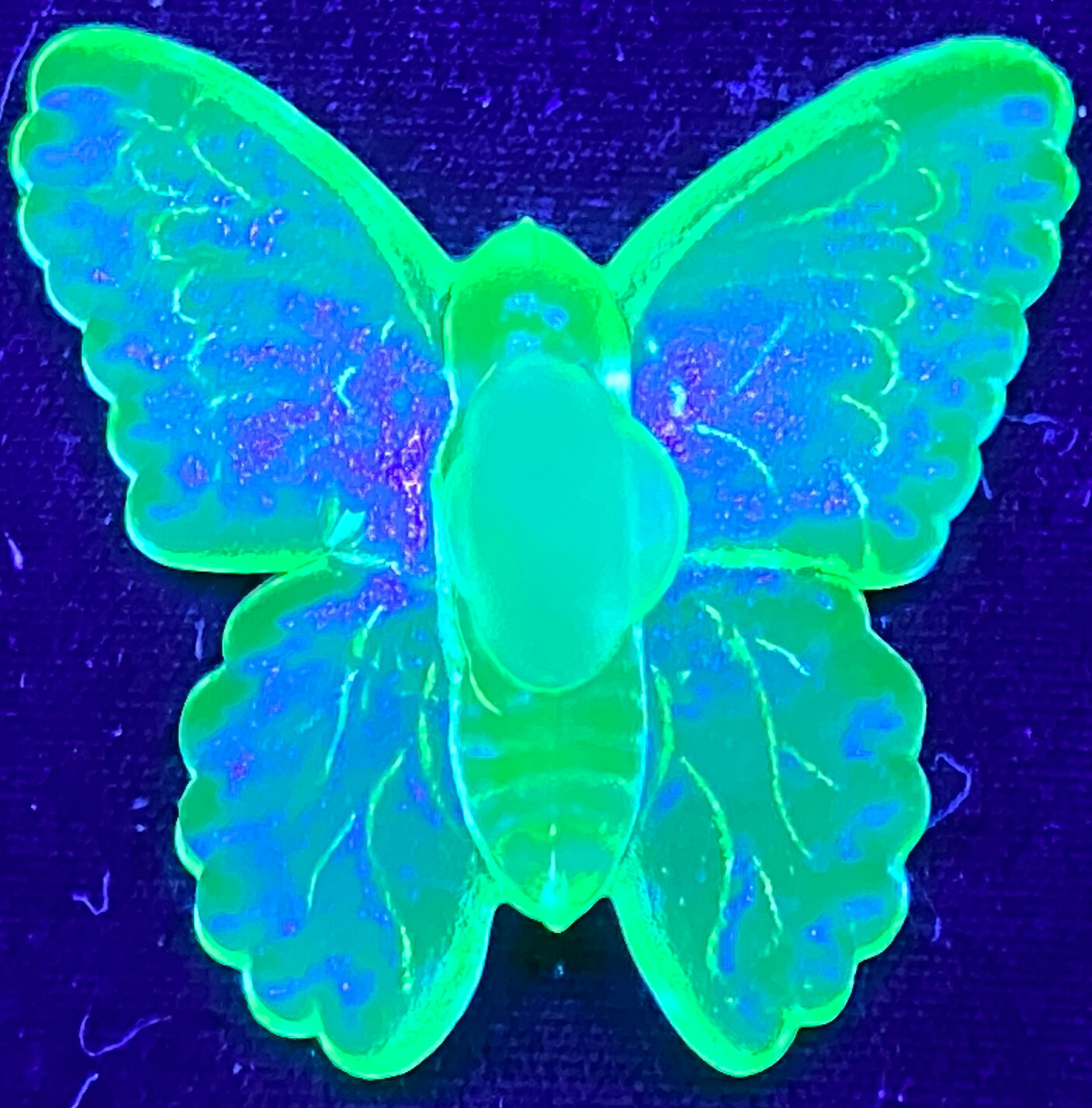 Blue Vaseline glass butterfly insect monarch glow neon animal uranium / selenium
