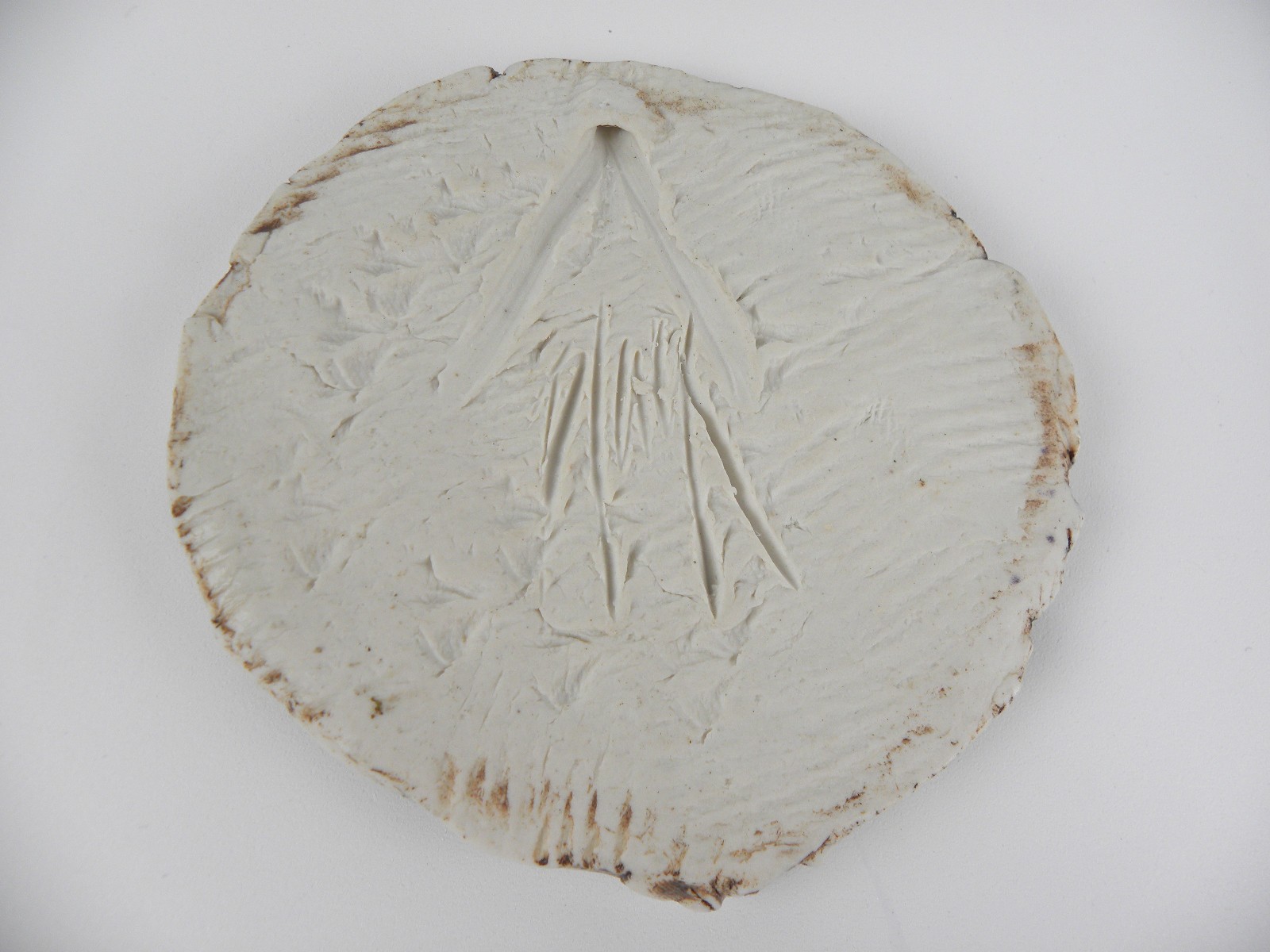 Artisan Pressed Clay Botanical Art Tile~ Signed