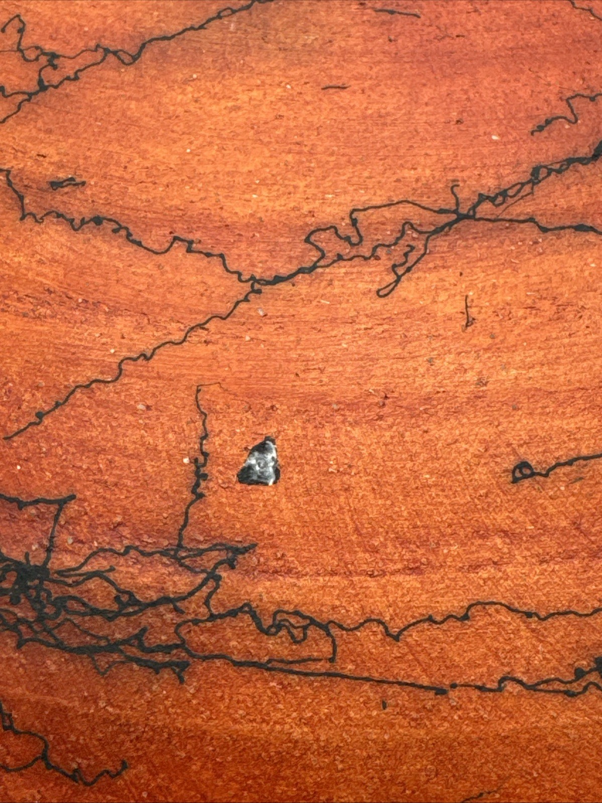 Nolan Windholtz Signed Round Tree Horse Hair Pottery Large Vase 14.5 Tall 13 Wde