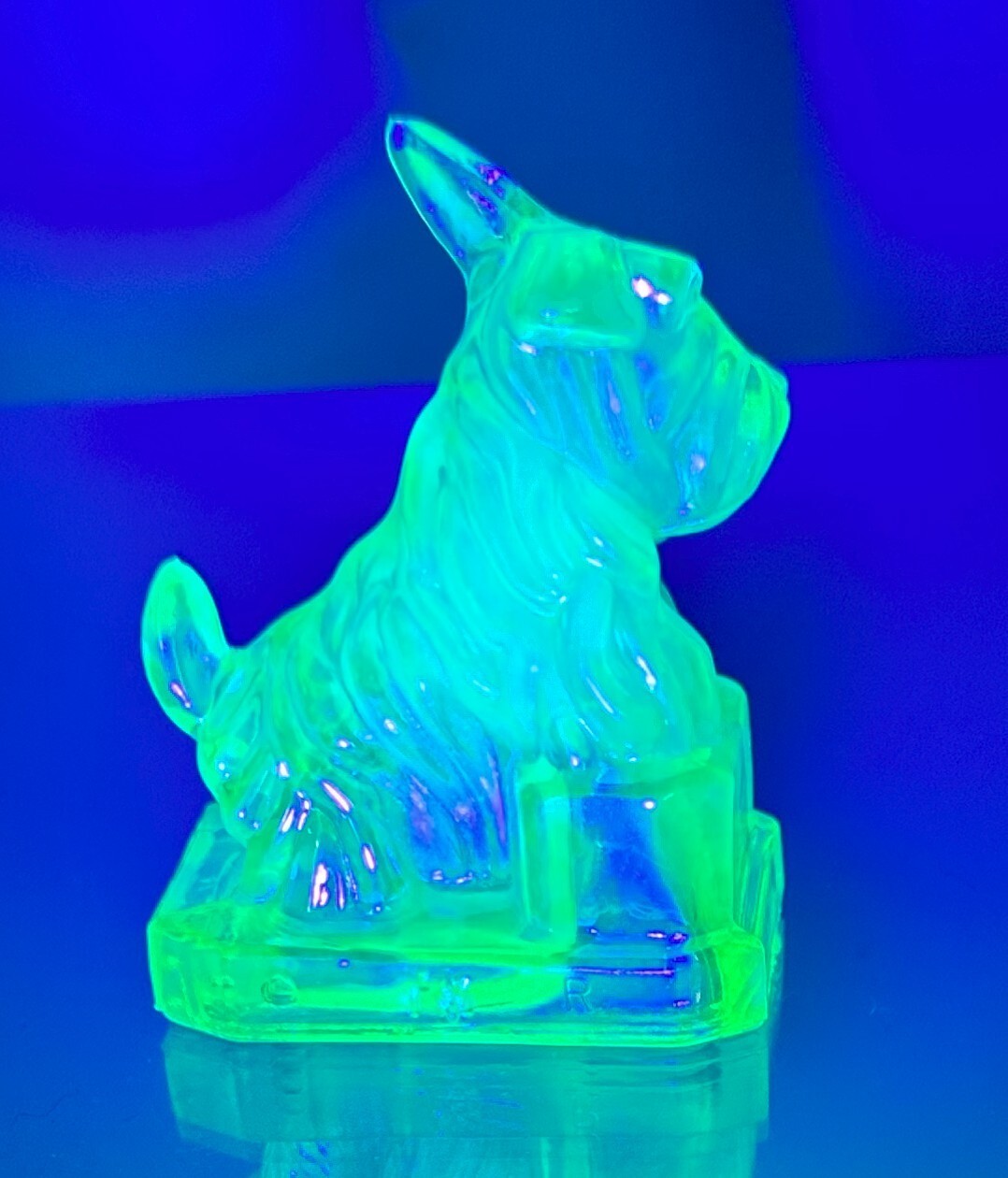 Boyd Glass JB Scottie Dog March Carnival (glows under black light)