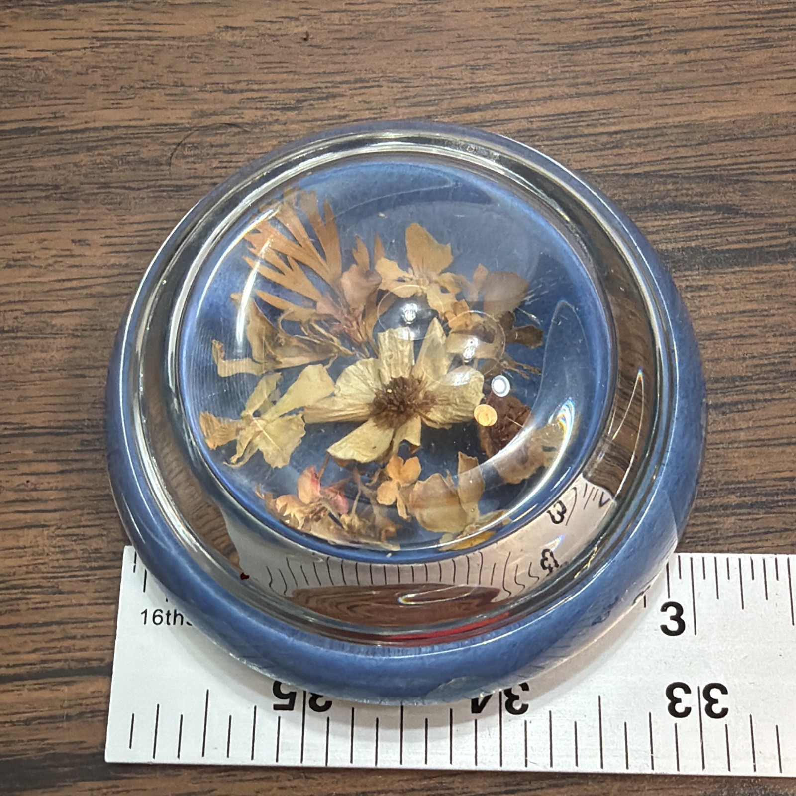 2x Vintage Glass Paper Weight Pressed Wild Flowers