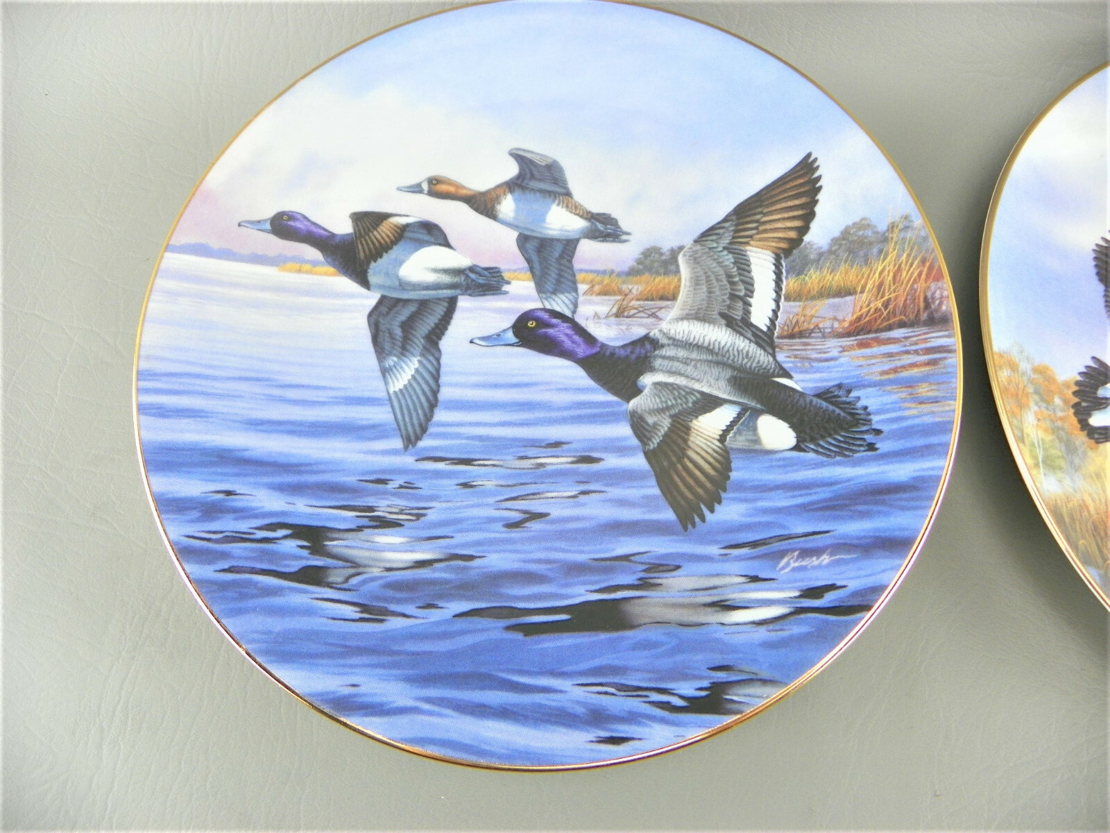 Vintage Dominion China 1990/91 Canadian Nature Birds Darrell Bush # Plate Lot