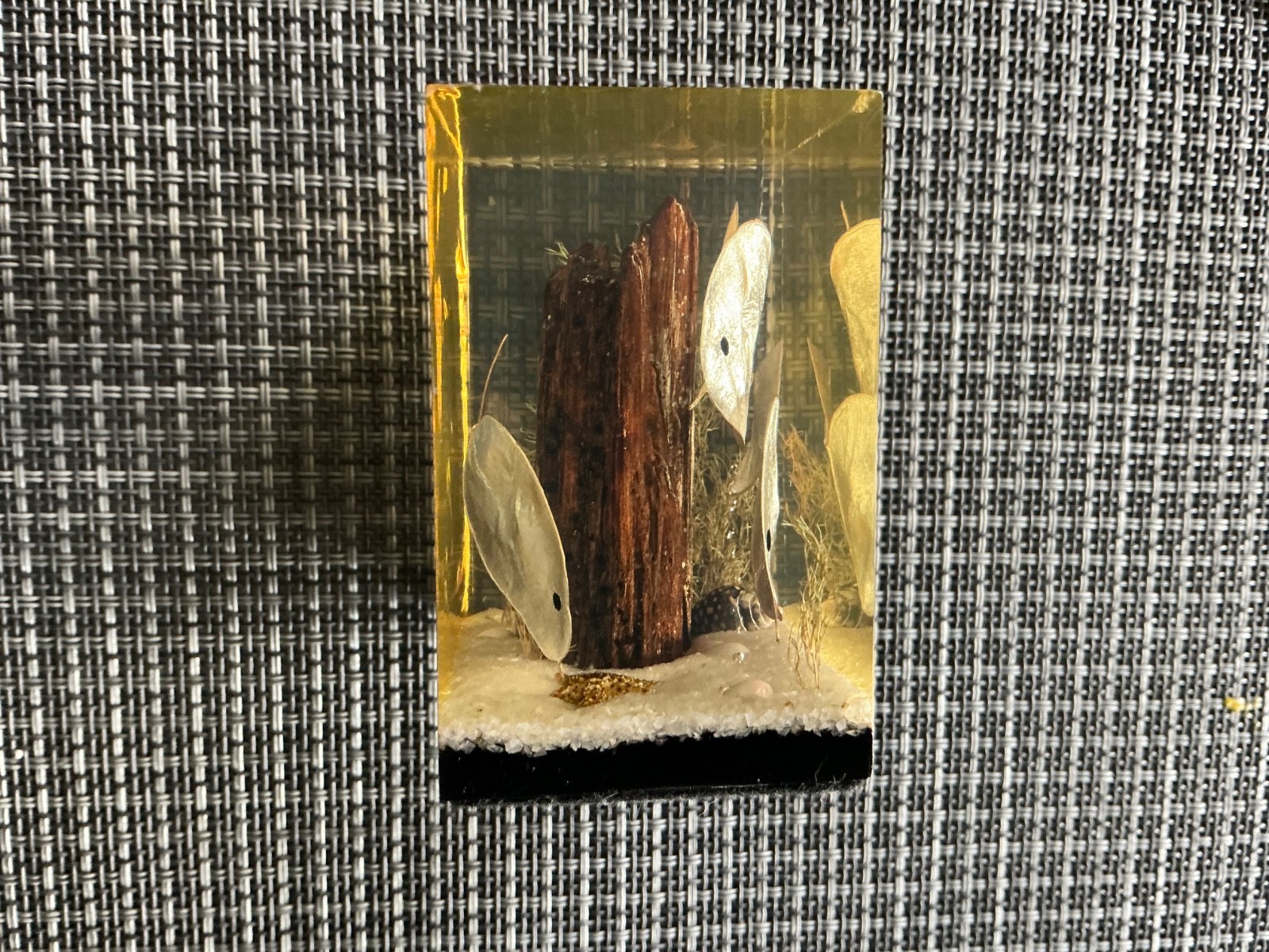 Vintage Lucite Paperweight Made Exclusively For Gump’s San Francisco Ocean Scene