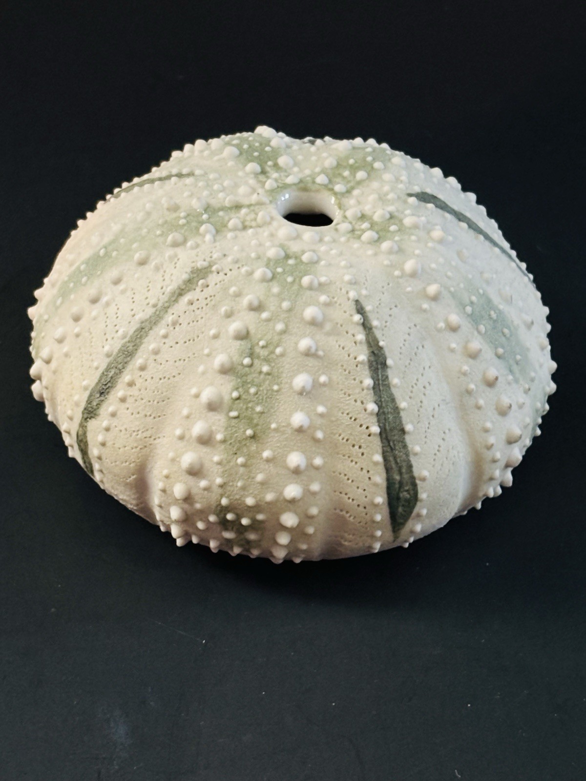 Sea Urchin Realistic Sculpture Seascape Signed Art Pottery Seed Pot