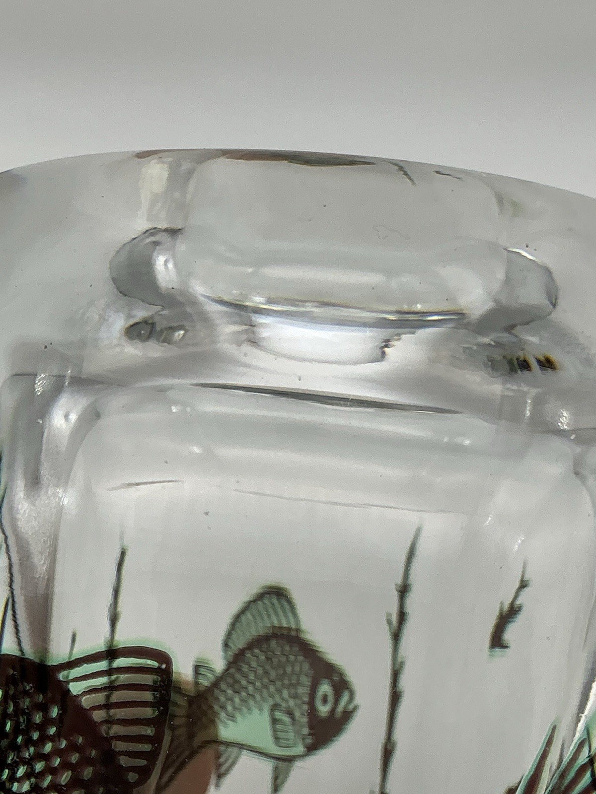 Orrefors Fish Underwater Aquarium Graal Vase Edward Hald Sweden 5.25 Inches