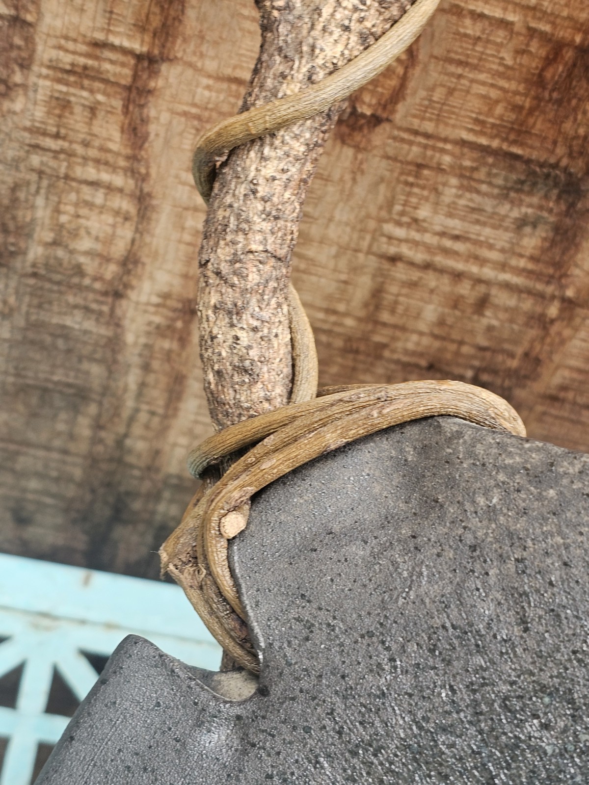 STUDIO RAKU POTTERY WOODEN BRANCH HANDLE ORGANIC PATTERN 14.5″