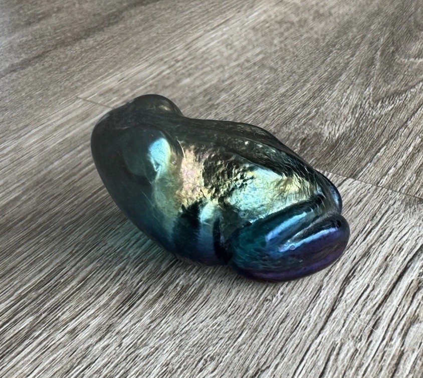 Robert Held Art Glass Iridescent Purple Blue Frog Paperweight Signed RHAG Canada