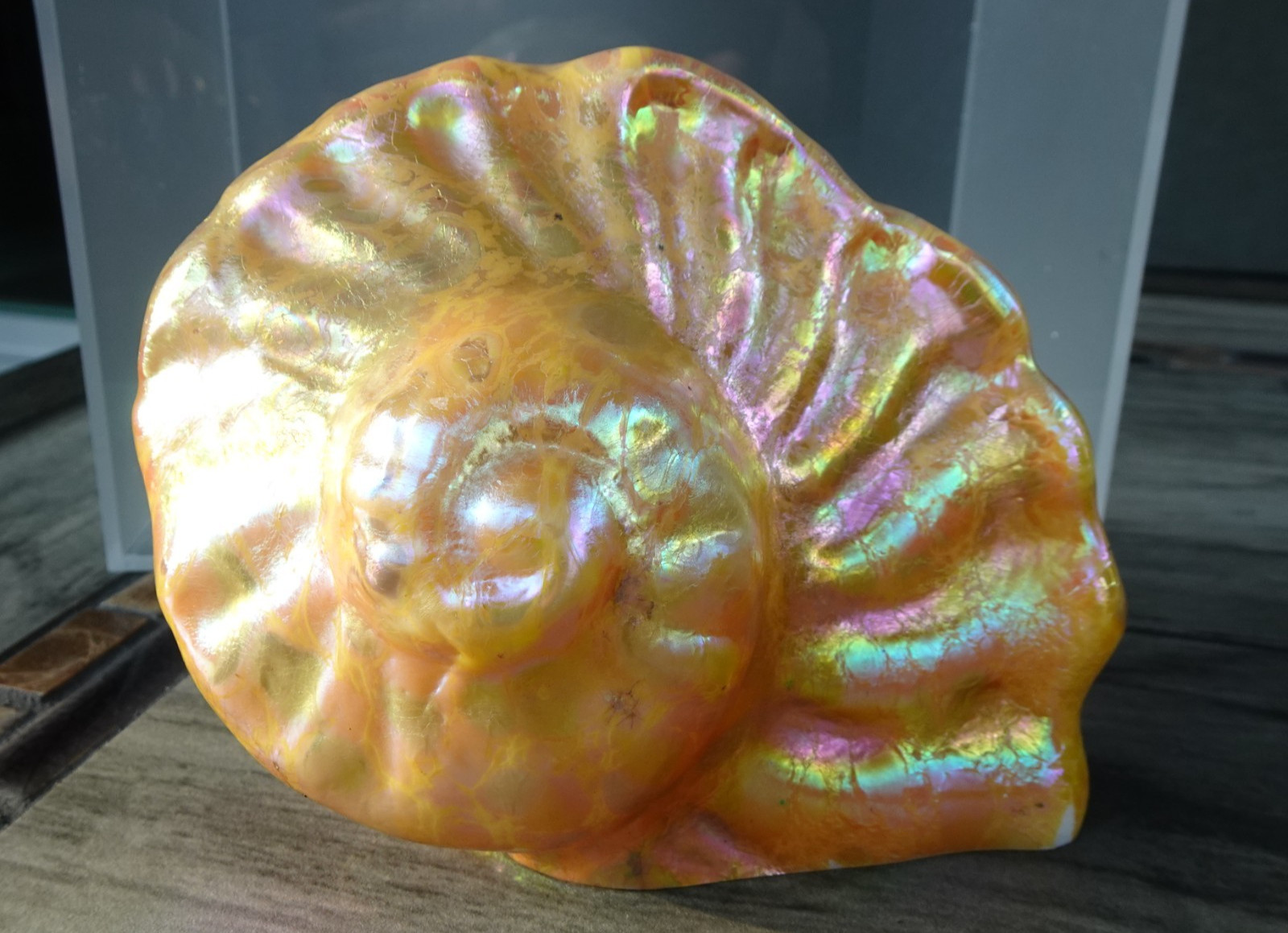 Signed Orient & Flume Glass Snail Shell Ocean Figurine Spotted Iridescent 1979