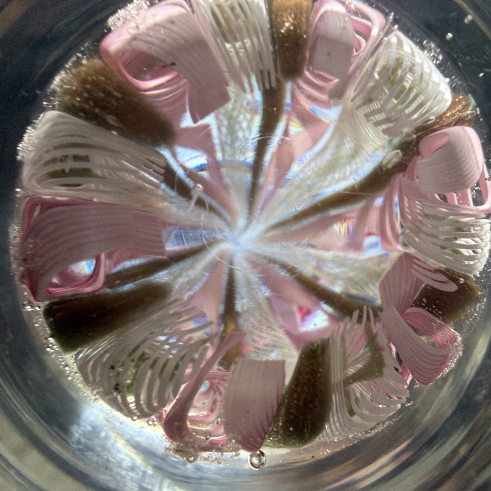 Murano Art Glass Paperweight Latticino Filigree Pink Zanfirico Ribbon Aventurine