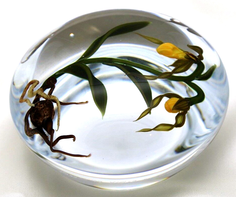DAZZLING Large CHRIS BUZZINI Lady Slipper ORCHIDS Art Glass PAPERWEIGHT 1 of 1