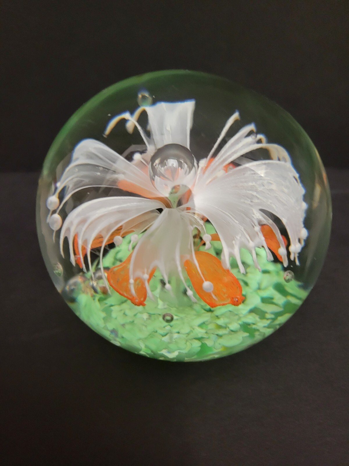Orange And White Flower Controlled Bubble Fireworks Art Glass Paperweight 2lb5oz