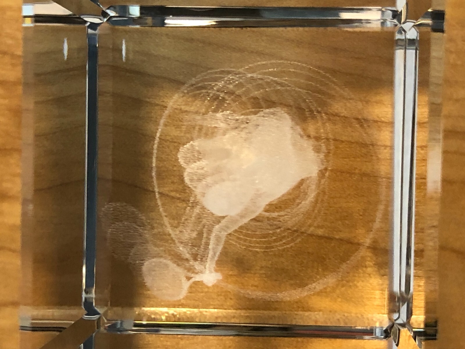 CRYSTAL IMPRESSIONS HOLOGRAM FEMALE TENNIS PLAYER SERVING 3 1/4 ” x 2 ” ISRAEL