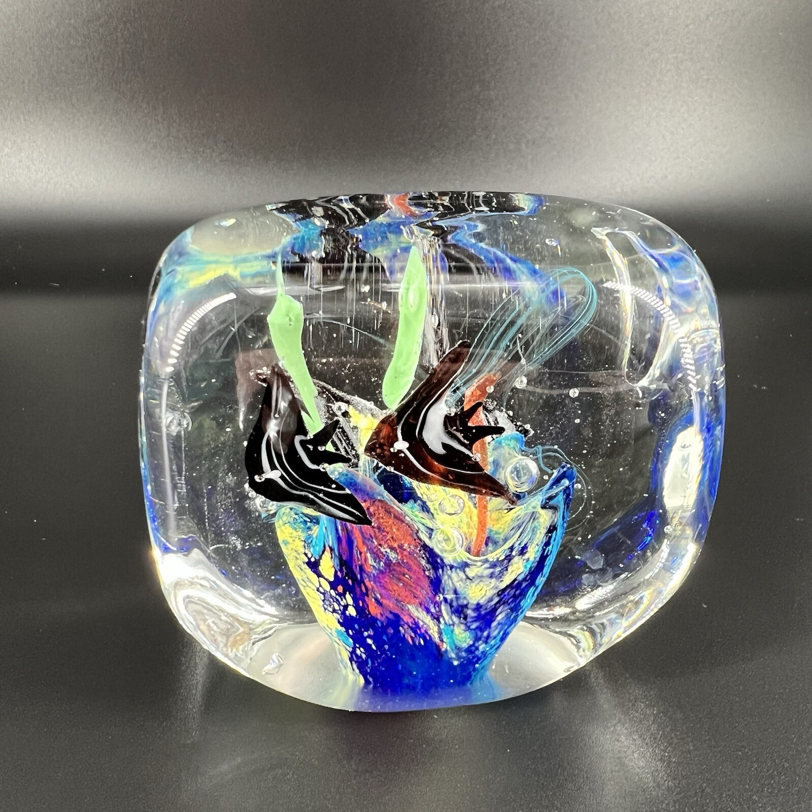 Art Glass Aquatic Paperweight Fish Aquarium Controlled Bubbles Square Shape AsIs