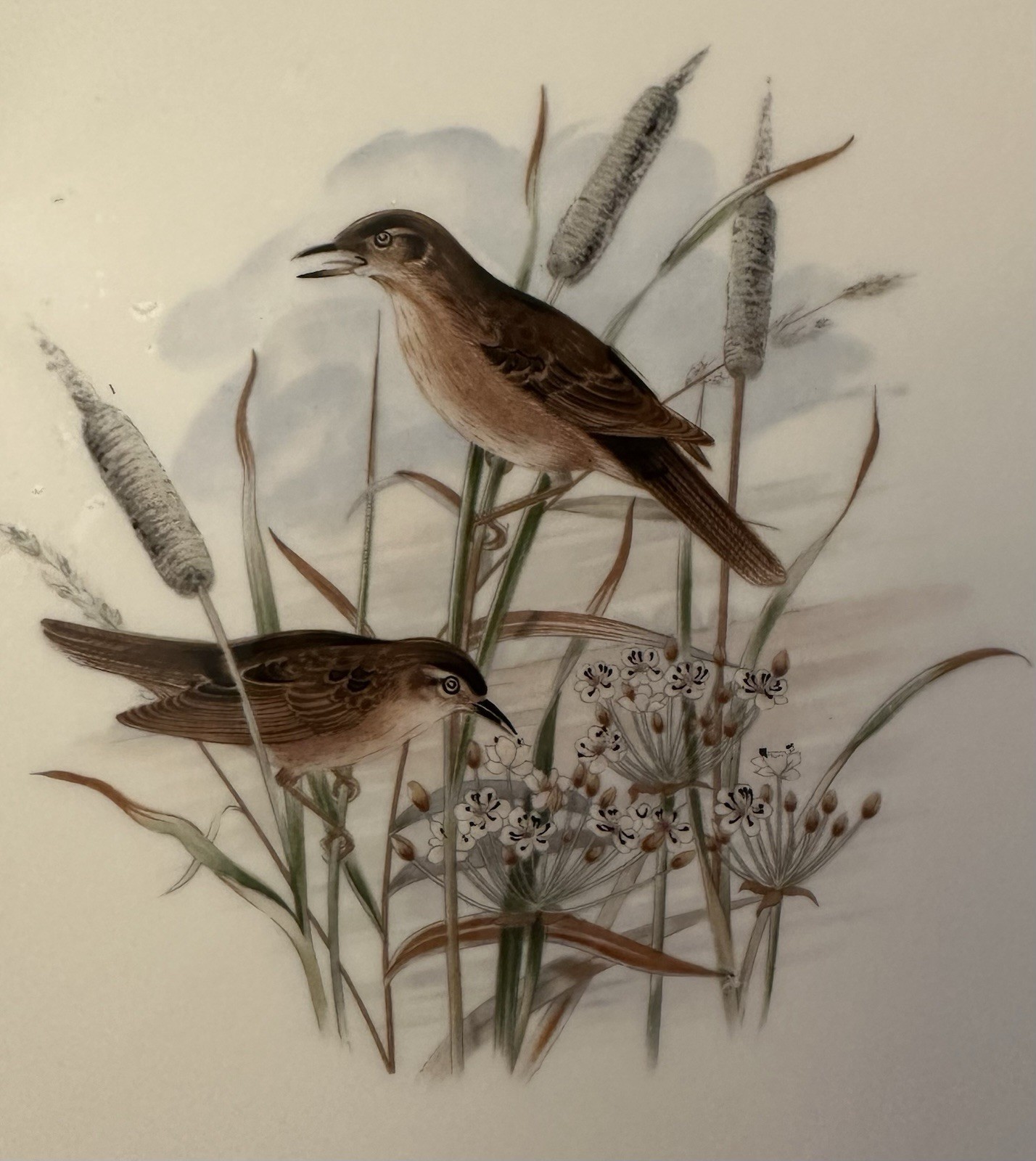 Bird Tile, Made In Italy, Birds, F49 – Ragno, Appx 5-7/8”x5-7/8”x1/8”